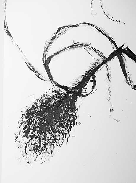 ink drawing of plant stems