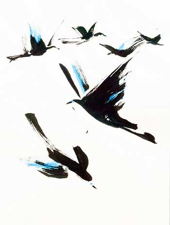 black birds flying