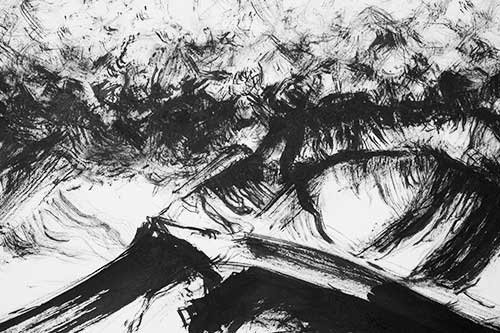 detail ink drawing above